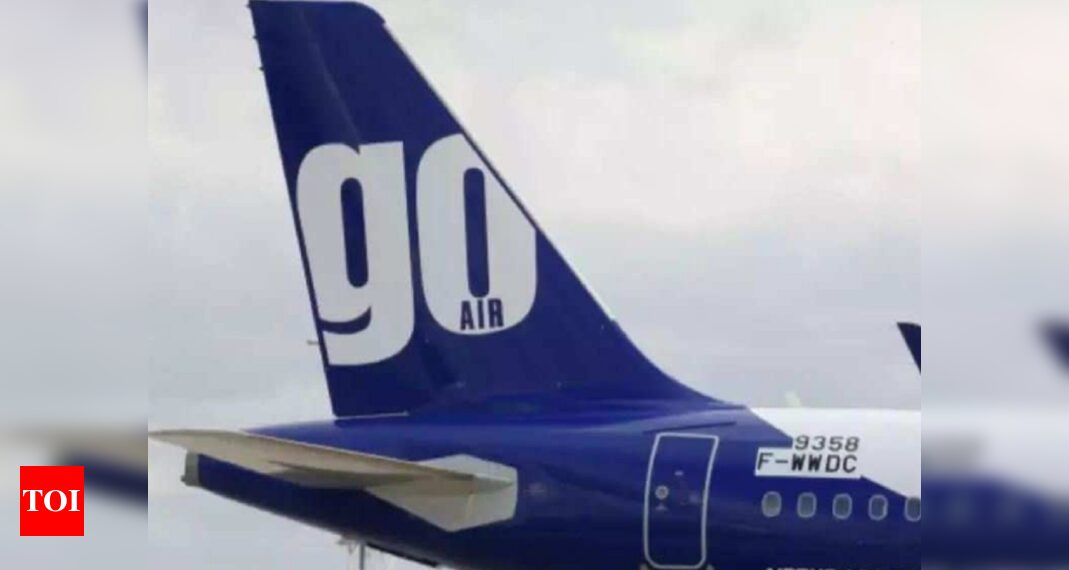 Go Air files for Rs 3600 crore IPO Times of - Travel News, Insights & Resources.