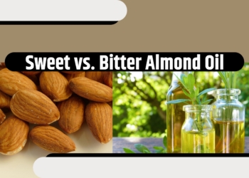 Difference Between Sweet and Bitter Almond Oil Which One - Travel News, Insights & Resources.