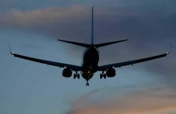 Kozhikode IT firms flight booking platform big hit with international - Travel News, Insights & Resources.