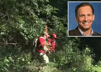 Missing UA chief found hanging from tree a YEAR after - Travel News, Insights & Resources.