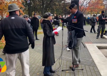 Its just so perverse Vaccine opponents seize on Remembrance Day - Travel News, Insights & Resources.