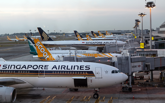 SIA Scoot resume flights to India TTG Asia - Travel News, Insights & Resources.