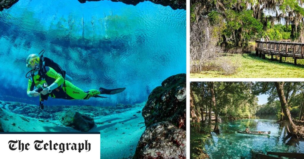 Eight natural wonders you didnt know existed in Florida - Travel News, Insights & Resources.