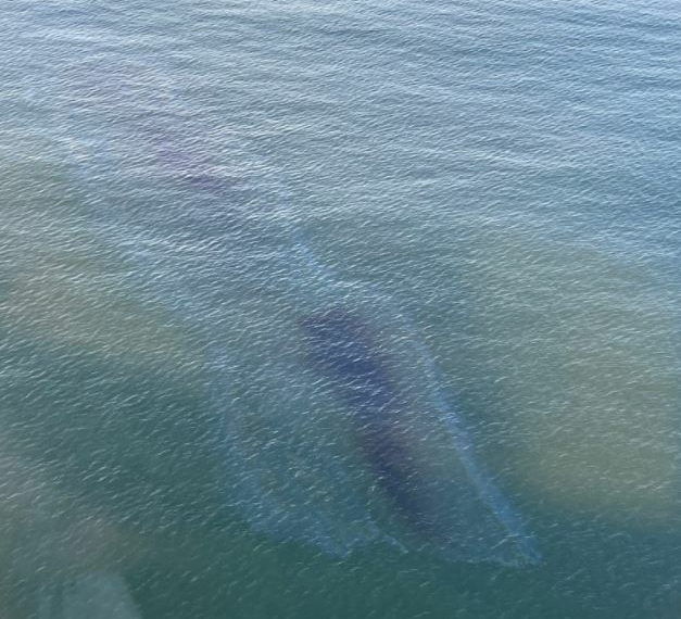 Officials Identify Source Of Oil Sheen Off Huntington Beach Coast - Travel News, Insights & Resources.