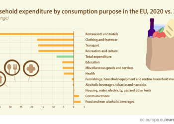 This is how COVID 19 hit household expenditure in Europe - Travel News, Insights & Resources.
