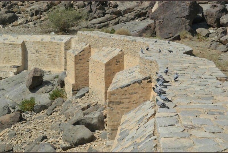 Call of the wild puts historic Saudi village on tourist - Travel News, Insights & Resources.