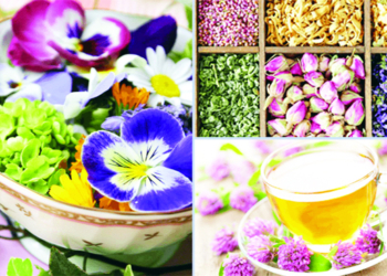 Edible Flowers of India Jammu Kashmir Latest News - Travel News, Insights & Resources.