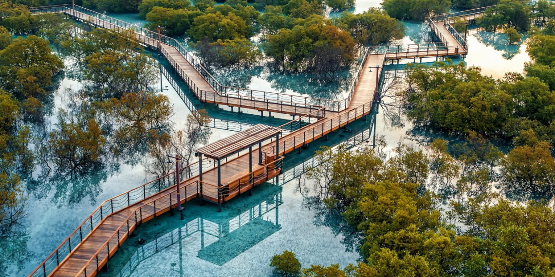 Etihad Encourages Customers to Reduce Carbon Footprint by Adopting Mangroves - Travel News, Insights & Resources.