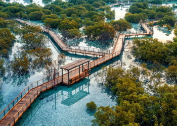 Etihad Encourages Customers to Reduce Carbon Footprint by Adopting Mangroves - Travel News, Insights & Resources.
