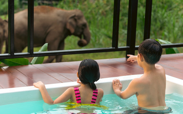 Anantara Golden Triangle Elephant Camp Resort TTG Asia - Travel News, Insights & Resources.