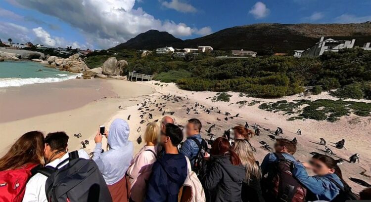 South Africas top 10 beaches – 7 of them near Cape - Travel News, Insights & Resources.