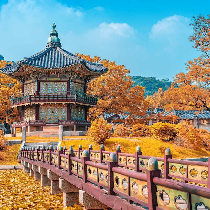 Delta Resumes All Nonstop Flights To South Korea 1 - Travel News, Insights & Resources.