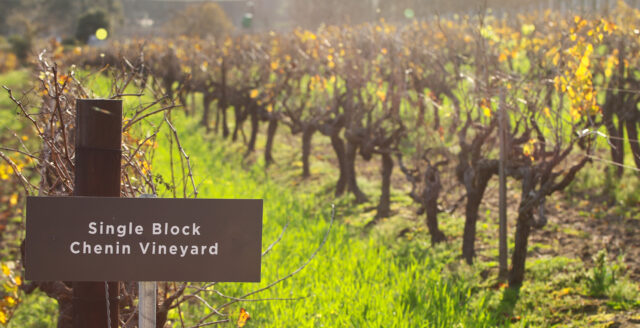 LAvenir vineyard - Travel News, Insights & Resources.