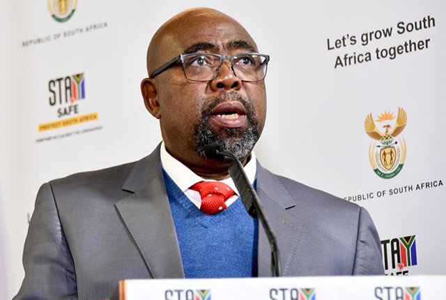Thulas Nxesi South African Minister of Employment and Labour