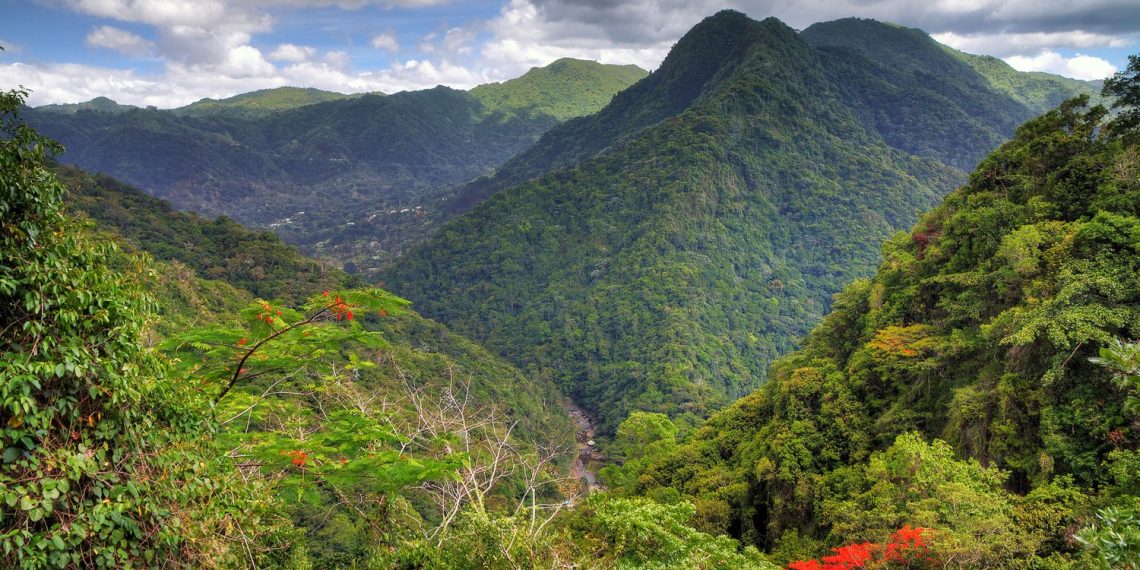 An eco adventure through Puerto Rico — WTTC Travel Hub - Travel News, Insights & Resources.