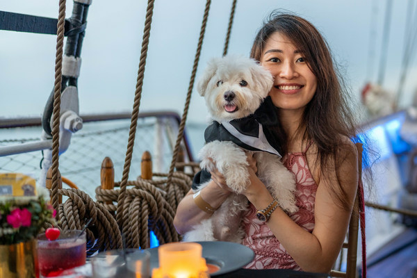 DOG CRUISE EXTRAORDINAIRE WITH CANINE COMPANIONS - Travel News, Insights & Resources.