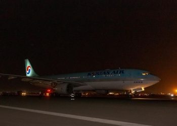 Korean Air plane makes emergency landing at Baku airport PHOTO - Travel News, Insights & Resources.