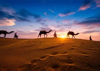 Rajasthan set to promote Border Tourism - Travel News, Insights & Resources.