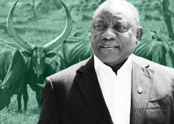 South Africas Ramaphosa under fire after ranch burglary fuels questions - Travel News, Insights & Resources.