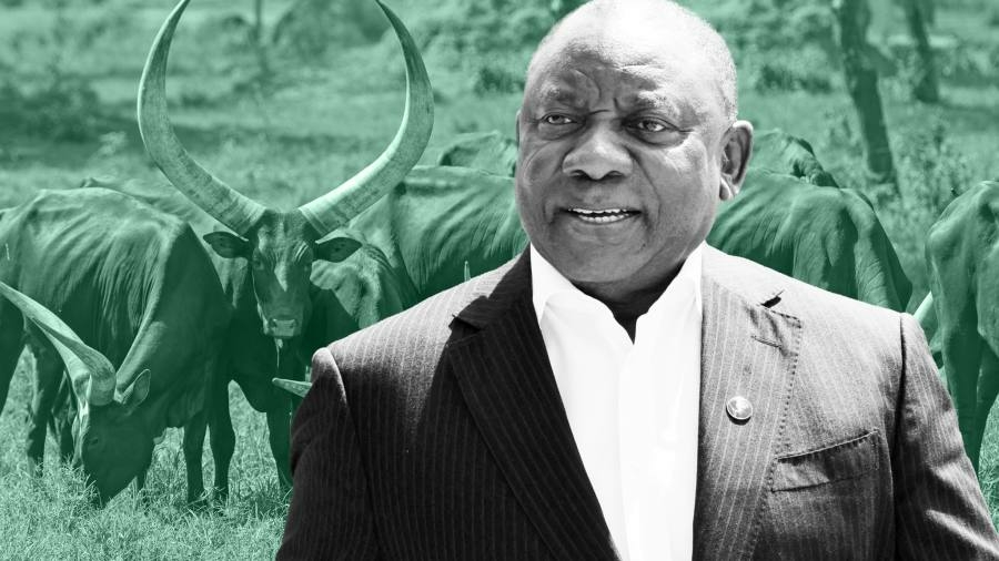 South Africas Ramaphosa under fire after ranch burglary fuels questions - Travel News, Insights & Resources.