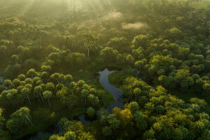 Governor Ron DeSantis and Florida Cabinet Invest More than $56 Million to Acquire Nearly 20,000 Acres for Conservation