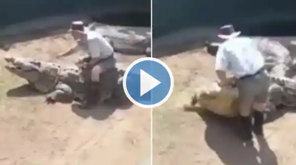 16 Foot Crocodile Attacks Zookeeper During Live Show Video Leaves Netizens - Travel News, Insights & Resources.