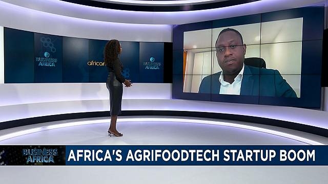 Boom in agrifood technology start ups in Africa Business Africa - Travel News, Insights & Resources.