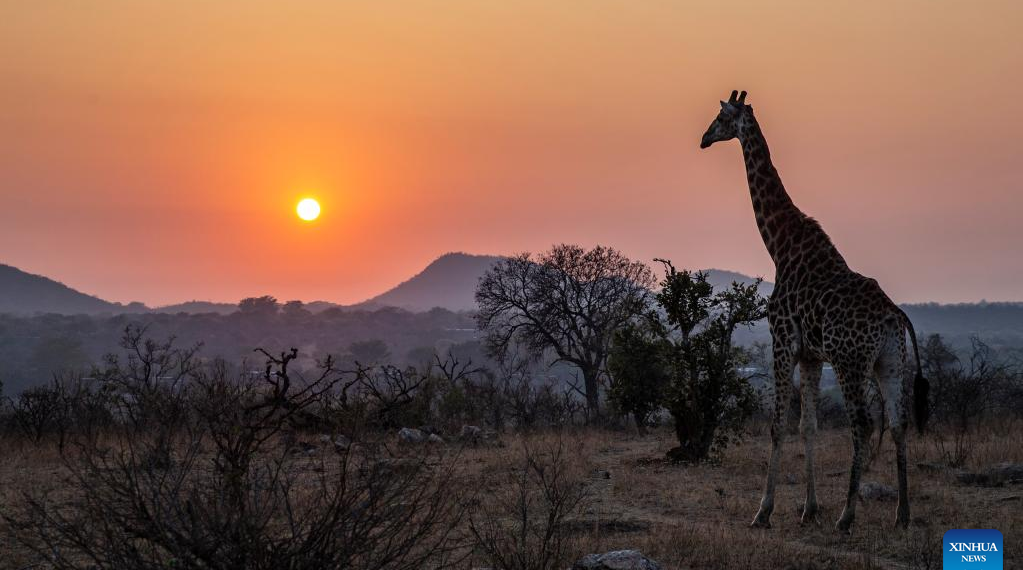 In pics Kruger National Park in South Africa - Travel News, Insights & Resources.