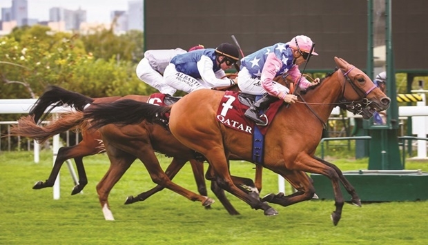 Qatars horses in contention for Arabian colts and fillies - Travel News, Insights & Resources.