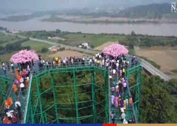 Chiang Rai opens glass skywalk at Golden Triangle of Thailand.webp - Travel News, Insights & Resources.