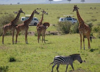 East Africa Is East Africa Making Strides in the Tourism - Travel News, Insights & Resources.