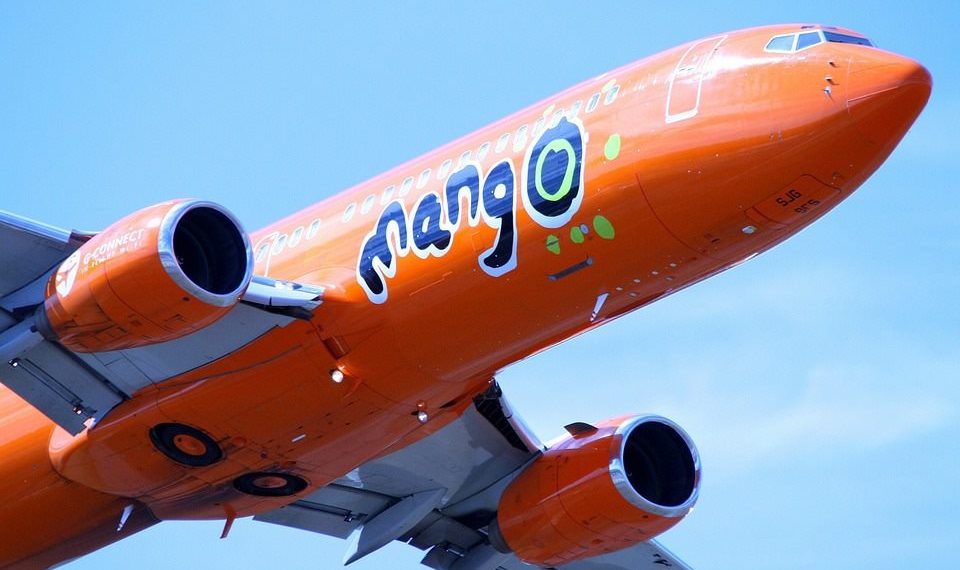Mango is our best bet - Travel News, Insights & Resources.