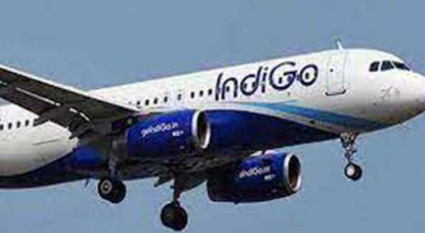 indigo resumes to and fro thailand flights
