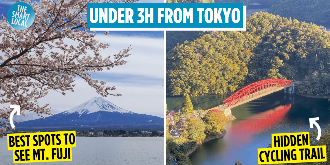 8 Scenic Activities Within A Day Trip From Tokyo - Travel News, Insights & Resources.