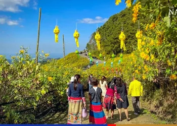 Beautiful yellow orange sea of marigolds in Mae Hong Son beckons.webp - Travel News, Insights & Resources.