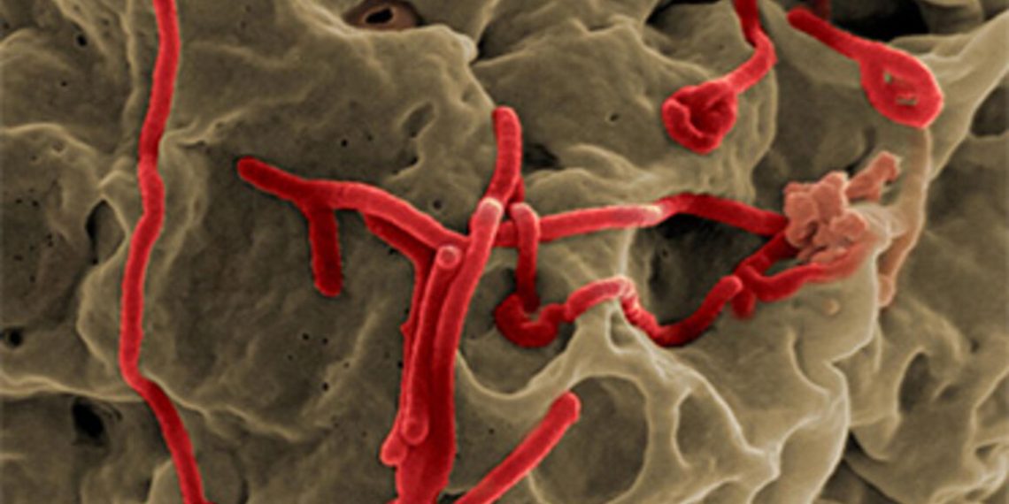 Ebola outbreak in Uganda as of 17 November 2022 - Travel News, Insights & Resources.
