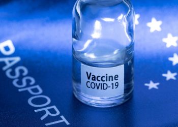 G 20 Promotes WHO Standardized Global Vaccine Passport and Digital Health Identity - Travel News, Insights & Resources.