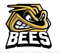 HotelPlanner Takes the Ice with UKs Bees Ice Hockey Club - Travel News, Insights & Resources.