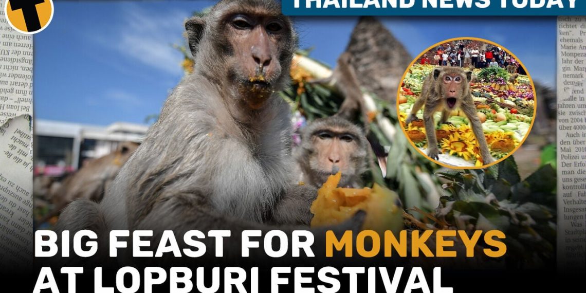 Thailand News Today Big Feast For Monkeys At Lopburi - Travel News, Insights & Resources.