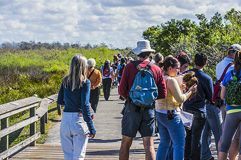 U.S. Visitors Boost Florida Tourism Industry