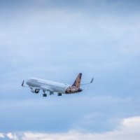 Vistara Expands Middle East Presence - Travel News, Insights & Resources.
