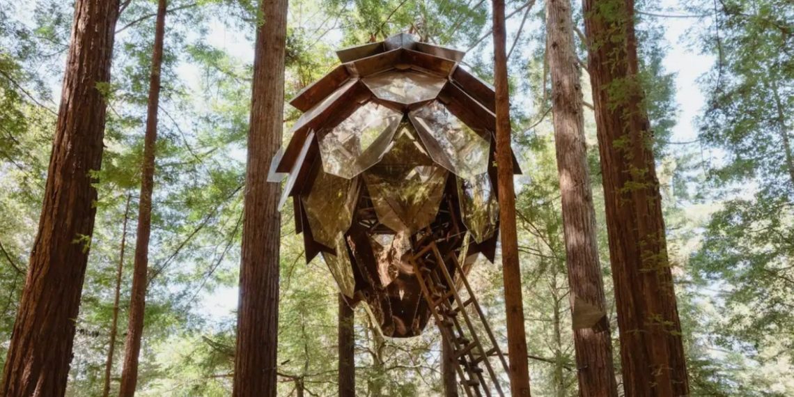 You Can Stay In A California Airbnb Thats A Treehouse - Travel News, Insights & Resources.