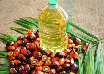 Palm oil drops after hitting 4 week high - Travel News, Insights & Resources.