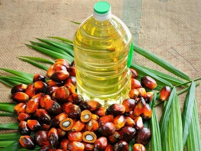 Palm oil drops after hitting 4 week high - Travel News, Insights & Resources.