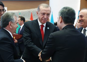 Turkey Looks to Turkic Countries for Regional Clout The - Travel News, Insights & Resources.