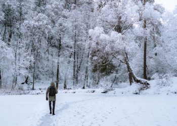 5 best winter walks to enjoy in Wiltshire this festive - Travel News, Insights & Resources.
