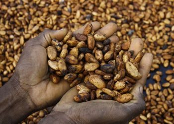 Cocoa exporters in Ivory Coast fear default as bean shortage - Travel News, Insights & Resources.
