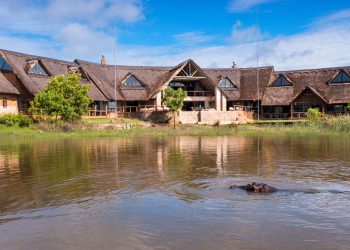 Exclusive use villa opens in the Waterberg - Travel News, Insights & Resources.