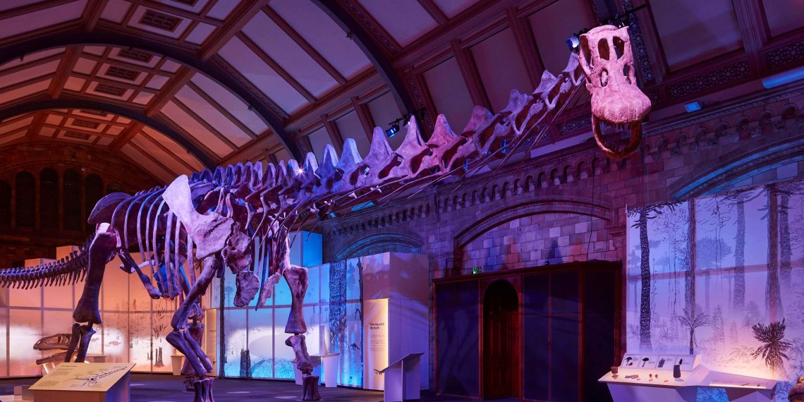 A Huge Creature to Behold Witness the Titanosaur the Largest - Travel News, Insights & Resources.