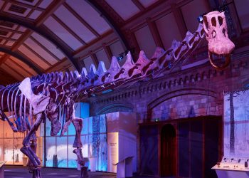 A Huge Creature to Behold Witness the Titanosaur the Largest - Travel News, Insights & Resources.